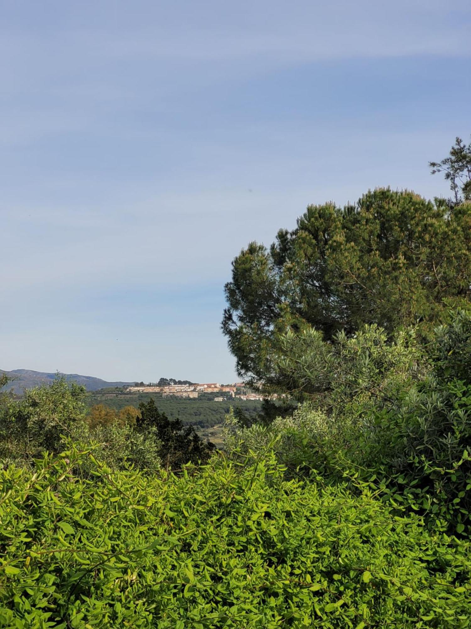 Casa Abanto Villa Ronda Exterior photo